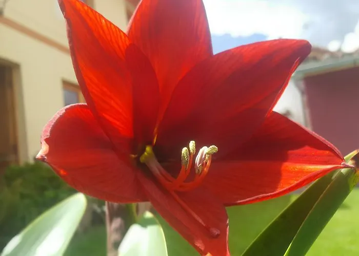 Pumawanka Affittacamere Urubamba