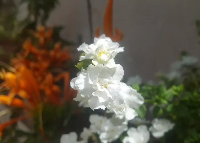 Affittacamere Pumawanka Urubamba